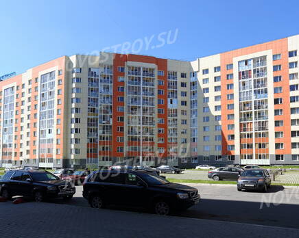 ЖК «Новые Колтуши» (20.06.2013 г.), Август 2013