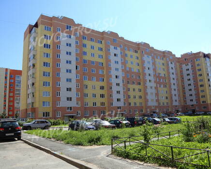 ЖК «Новые Колтуши» (20.06.2013 г.), Август 2013