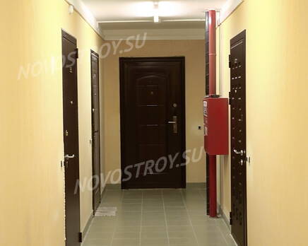 ЖК «Янтарь» (20.06.2013 г.), Август 2013