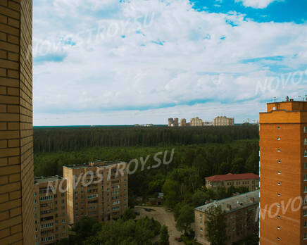 ЖК «Жемчужина Балашихи»  (10.07.2013 г.), Август 2013