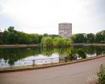 Сквер рядом с  ЖК «Жемчужина» (10.07.2013 г.), Август 2013