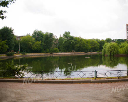 Сквер рядом с  ЖК «Жемчужина» (10.07.2013 г.), Август 2013