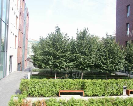 Двор ЖК «Одиннадцать Станиславского» (15.08.2013 г), Август 2013