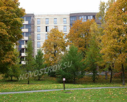 Окрестности ЖК «Новый курорт» (23.10.2013 г.), Октябрь 2013