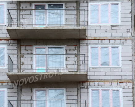 ЖК «Дом в Коломягах» (20.11.2013), Ноябрь 2013
