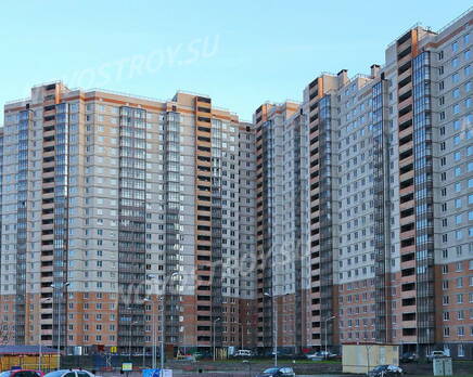 ЖК «Ленинградские вечера» (25.12.2013 г.), Январь 2014