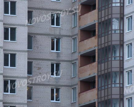 ЖК «Ленинградские вечера» (25.12.2013 г.), Январь 2014