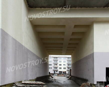 ЖК «Старопетергофский» (16.01.2014 г.), Январь 2014