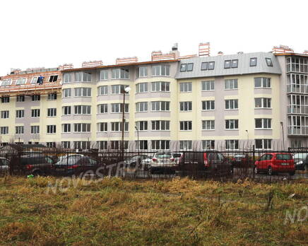 ЖК «Старопетергофский» (16.01.2014 г.), Январь 2014