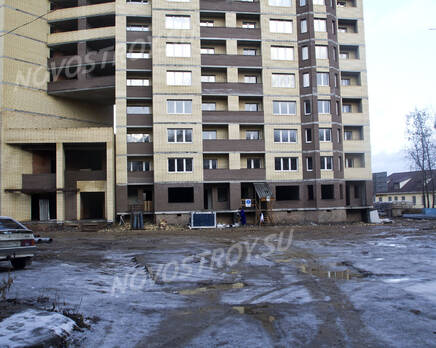 Дом на Комсомольской улице (27.12.2014), Январь 2015