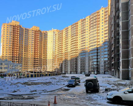 ЖК «Медный всадник»: придомовая территория. 15.02.2015, Февраль 2015