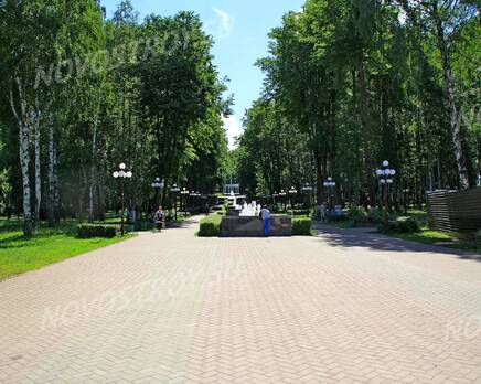 ЖК «Московский» (г.Дмитров): 17.06.2015 - Парк Березовая роща за новостройкой, Июнь 2015