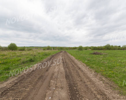 КП «Южное поместье»: 08.06.2015, Июнь 2015