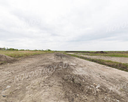 КП «Южное поместье»: 08.06.2015, Июнь 2015