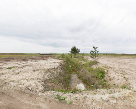 КП «Южное поместье»: 08.06.2015, Июнь 2015