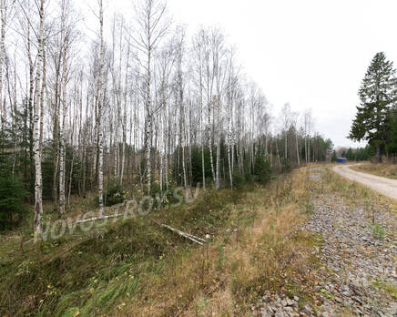 ЖК «Alpenhof» (26.10.2015), Октябрь 2015