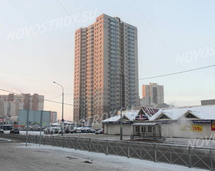 ЖК «Дом на проспекте Просвещения, 85»: вид с ул. Ушинского (07.01.2016), Январь 2016