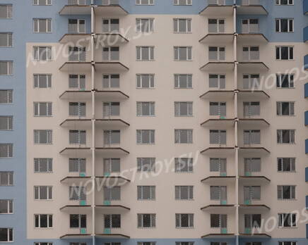 ЖК «Дом в Новом Девяткино» (ПромСервис): фасад (07.03.2016) , Март 2016
