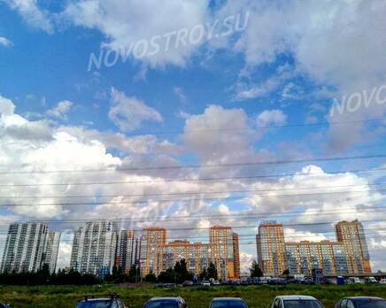 ЖК «Эланд»: из группы дольщиков, Август 2017