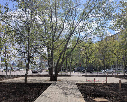 ЖК «Родионово»: благоустройство, Октябрь 2017