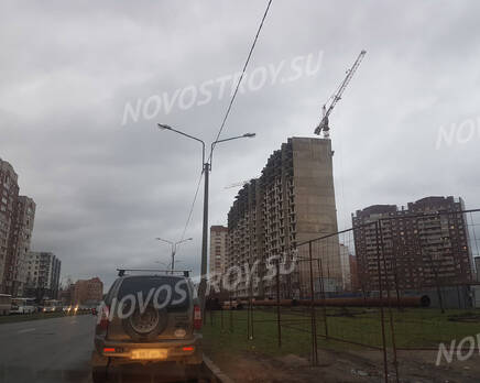 ЖК «на Новоколомяжском проспекте, 18»: из группы дольщиков, Ноябрь 2017