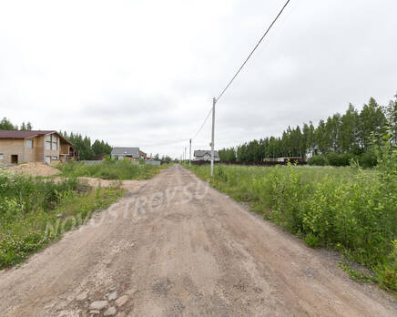 КП «Рыжики», Июль 2018