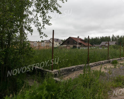 КП «Рыжики», Июль 2018