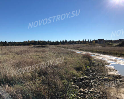 КП «Лисички», Ноябрь 2018