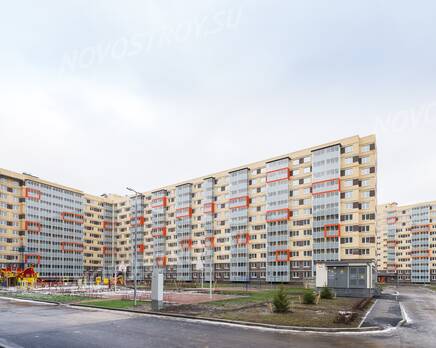 ЖК «Мурино 2019»:  ход строительства, Декабрь 2018