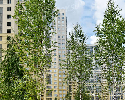 ЖК «Green City»: ход строительства, Декабрь 2018