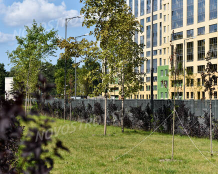 ЖК «Green City»: ход строительства, Декабрь 2018