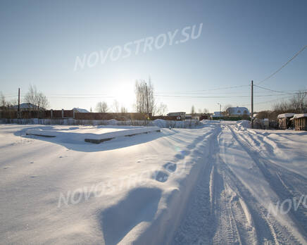 КП «во Владимировке»: январь 2019, Январь 2019