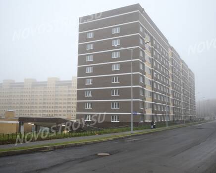 ЖК «Татьянин парк»: ход строительства, Декабрь 2019