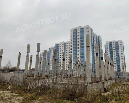 ЖК «Нева'Da»: ход строительства, Январь 2020