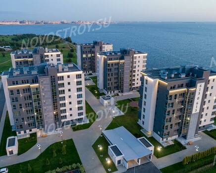 МФК «Лахта Плаза», Январь 2020