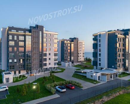 МФК «Лахта Плаза», Январь 2020
