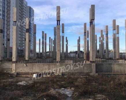 ЖК «Нева'Da»: ход строительства, Февраль 2020