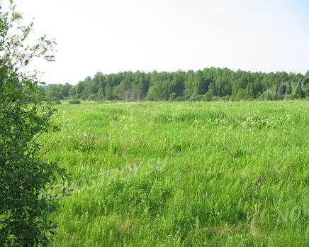 КП «Малинки», Апрель 2020