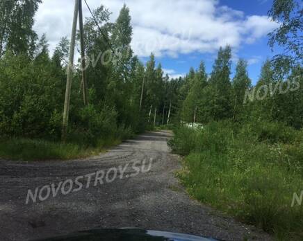 ДНП Солнечное, Апрель 2020
