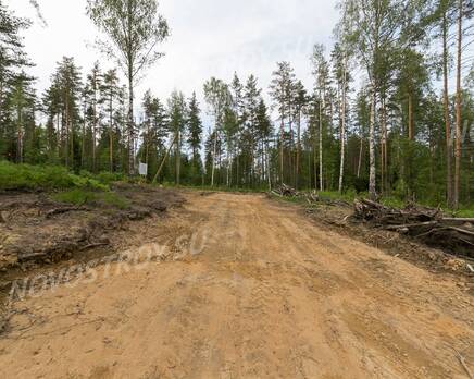 КП «Лисички», Июнь 2020