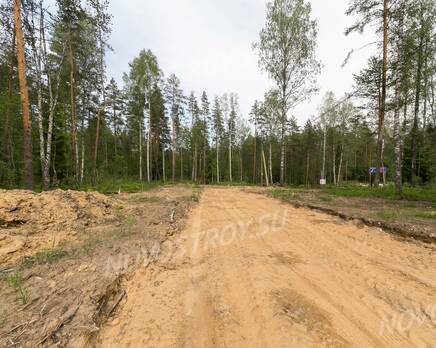 КП «Лисички», Июнь 2020