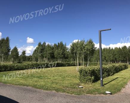 КП Chehoff, Июль 2020