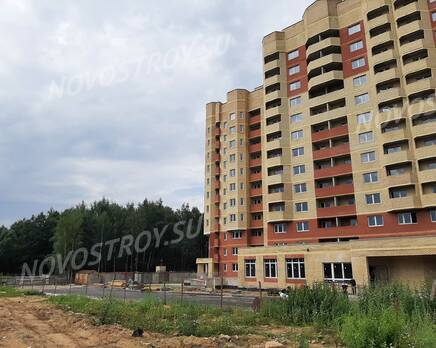 ЖК «Марз» (корп. 5): из группы дольщиков, Август 2020