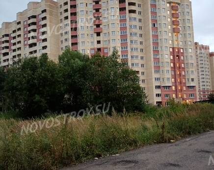 ЖК «Марз» (корп. 5): из группы дольщиков, Сентябрь 2020