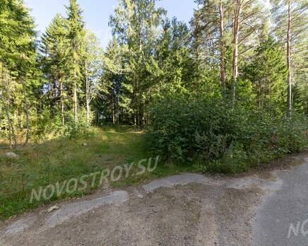 КП Ostapovka, Сентябрь 2020