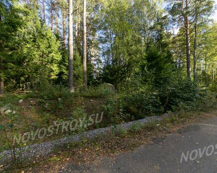 КП Ostapovka, Сентябрь 2020