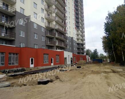 ЖК «Парголово»: ход строительства корпуса №27, Ноябрь 2020