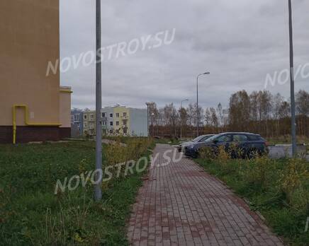 ЖК «Новое Ступино»: из группы дольщиков, Ноябрь 2020