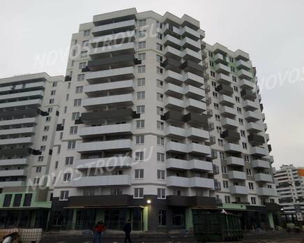 ЖК «Парголово»: ход строительства, Январь 2021
