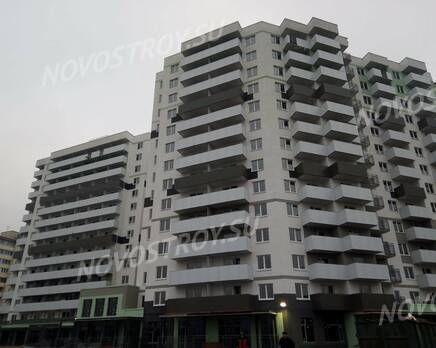 ЖК «Парголово»: ход строительства, Январь 2021